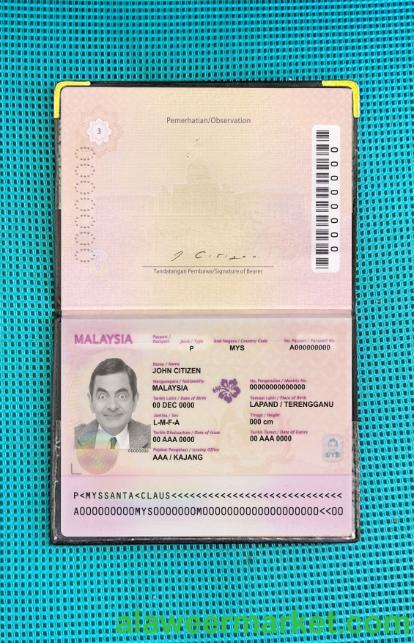 Malaysia passport (2010-2017) photo look